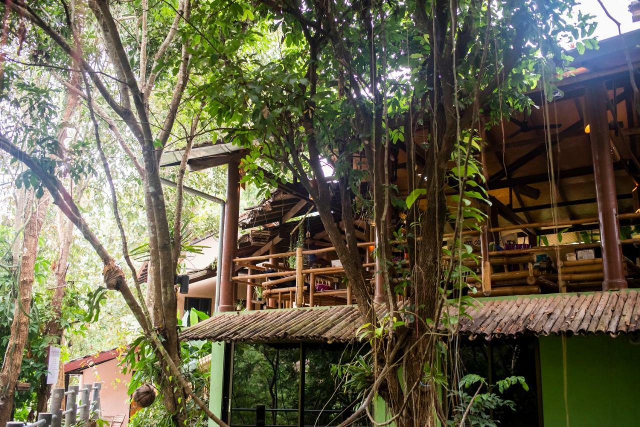 Hot Coffee Guest House And Resort Ban Mae Na Chon Exterior photo